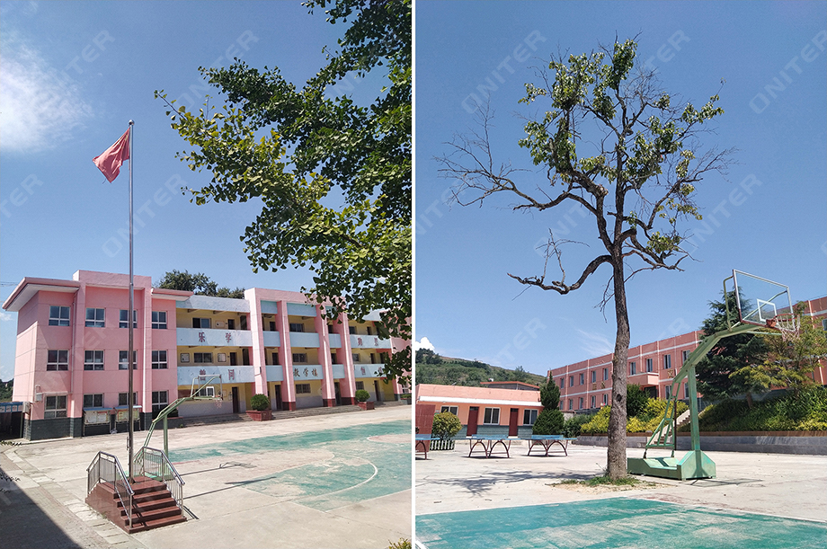 成县化垭农职业中学--校园环境.jpg