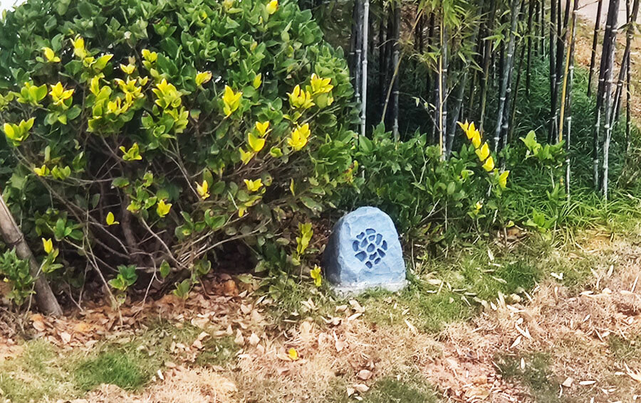 IMG_20201117_165113.jpg IMG_20201117_165113.jpg