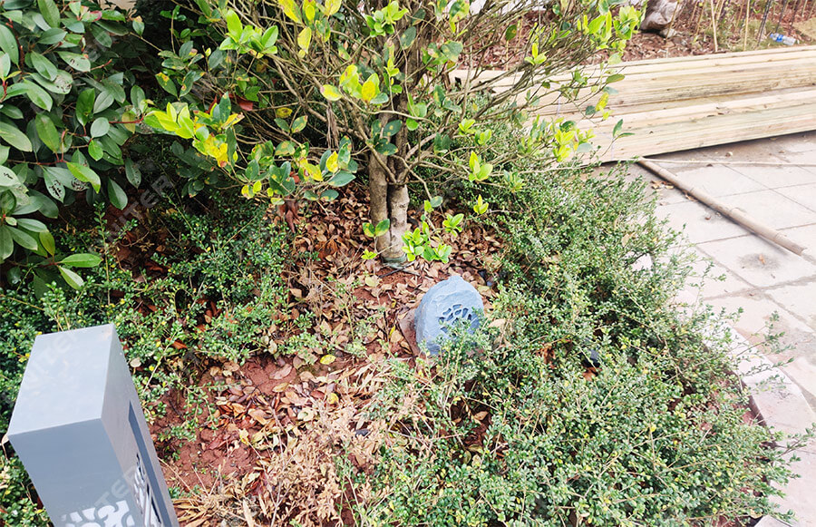 IMG_20201117_163318.jpg IMG_20201117_163318.jpg