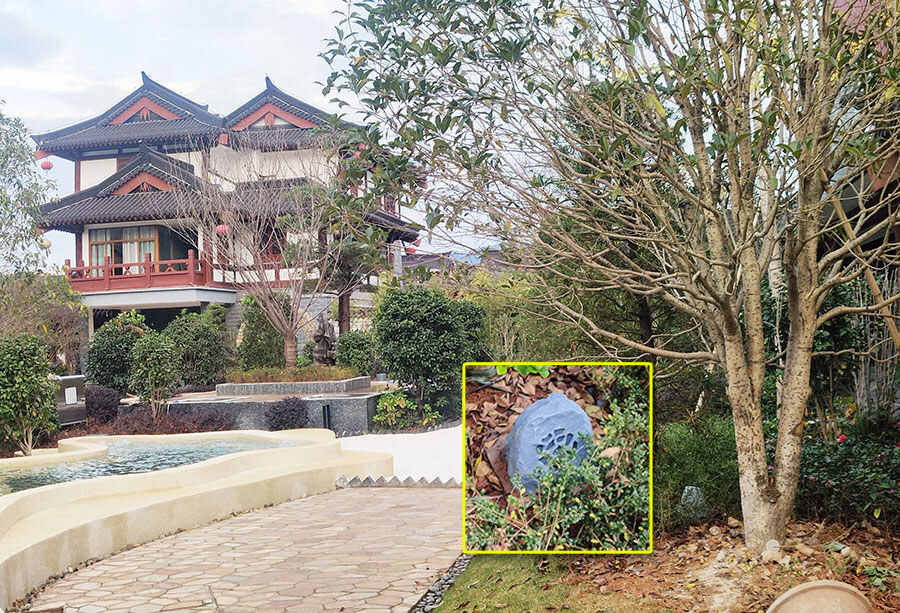 IMG_20201117_164240.jpg IMG_20201117_164240.jpg