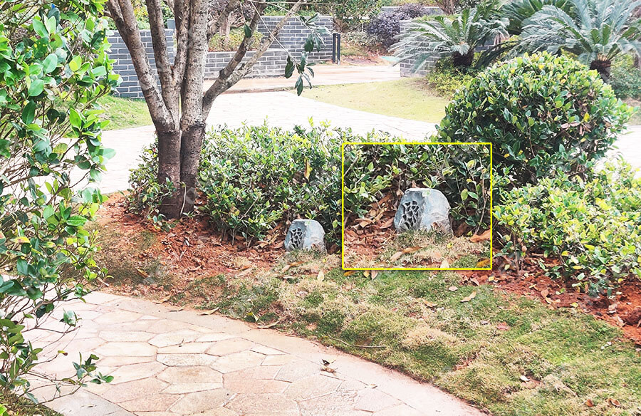 IMG_20201117_160806.jpg IMG_20201117_160806.jpg