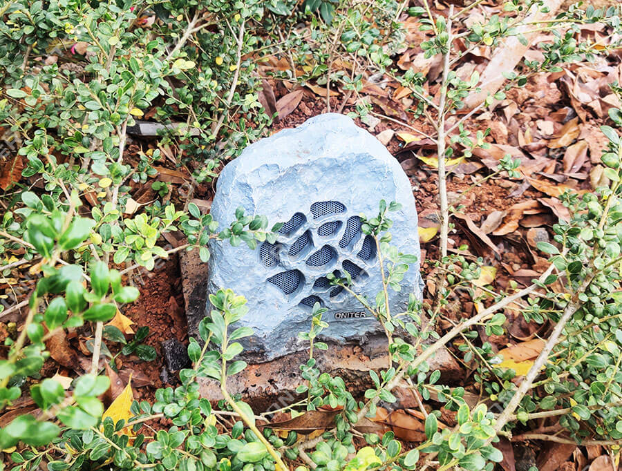 IMG_20201117_160155.jpg IMG_20201117_160155.jpg