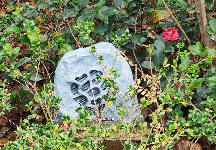 IMG_20201117_160955.jpg IMG_20201117_160955.jpg