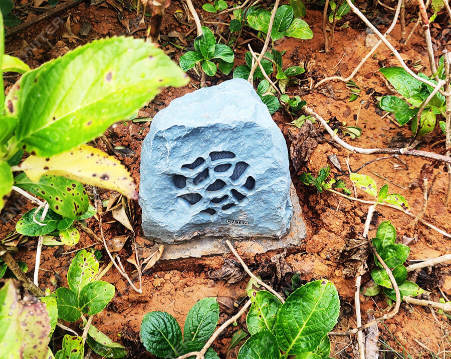 IMG_20201117_160326.jpg IMG_20201117_160326.jpg