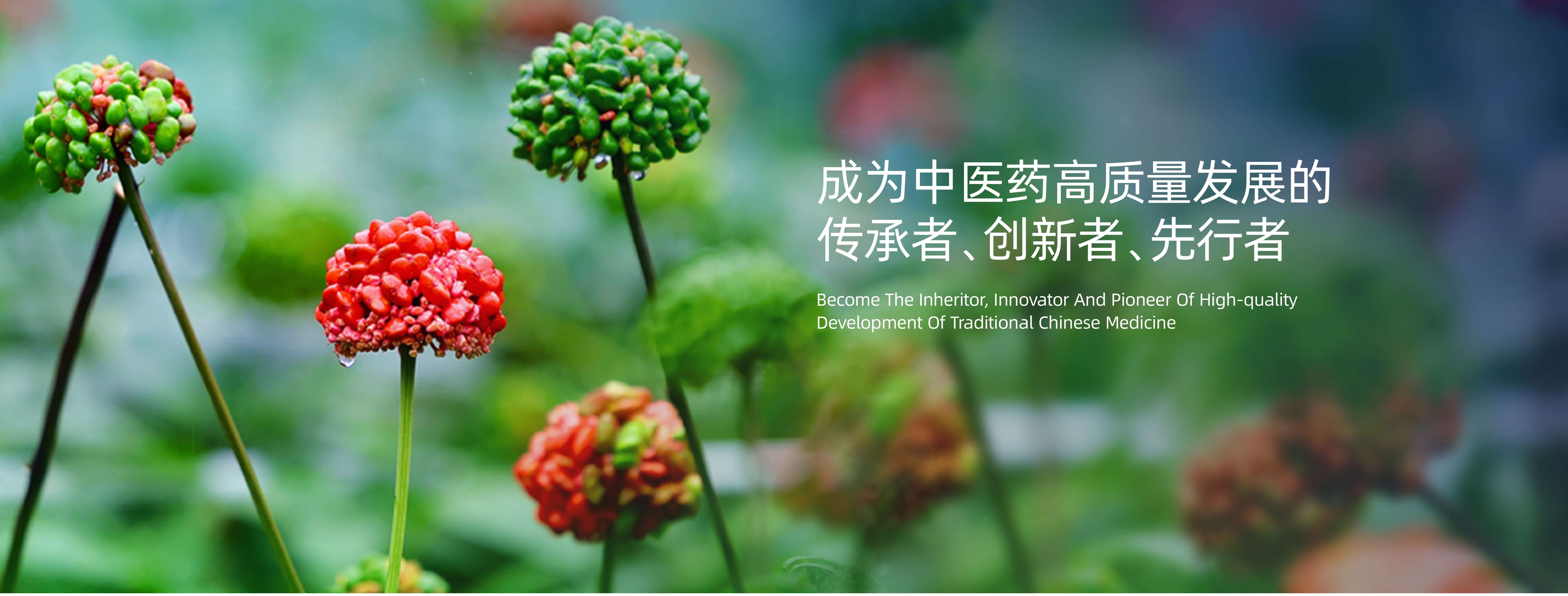 7790cnm必发集团